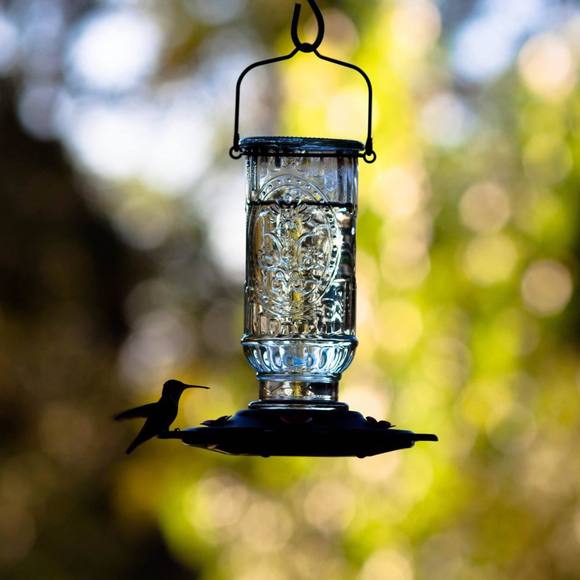 Meet your Posher, Jan - Picture 1 of 1